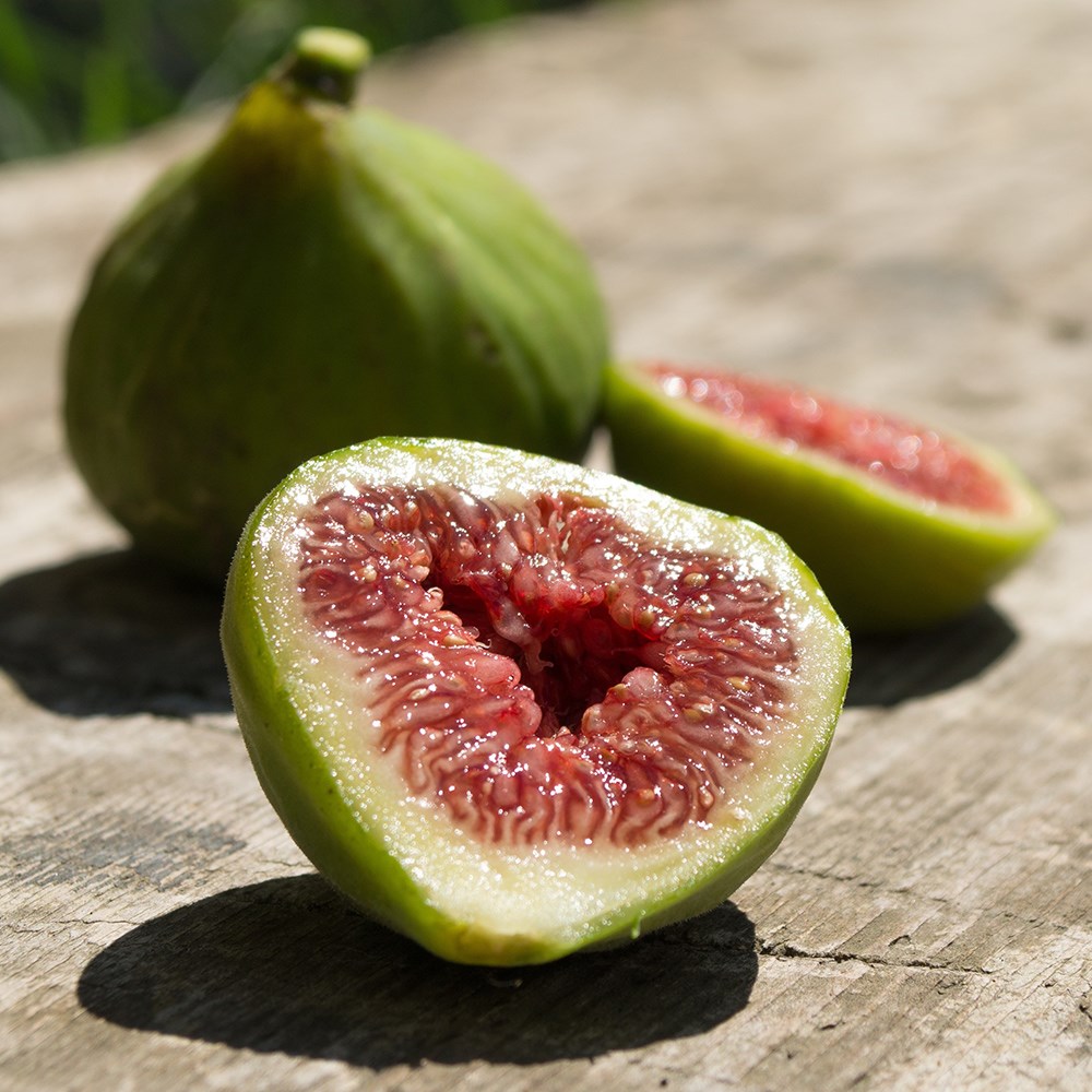 fig 'Dalmatie'