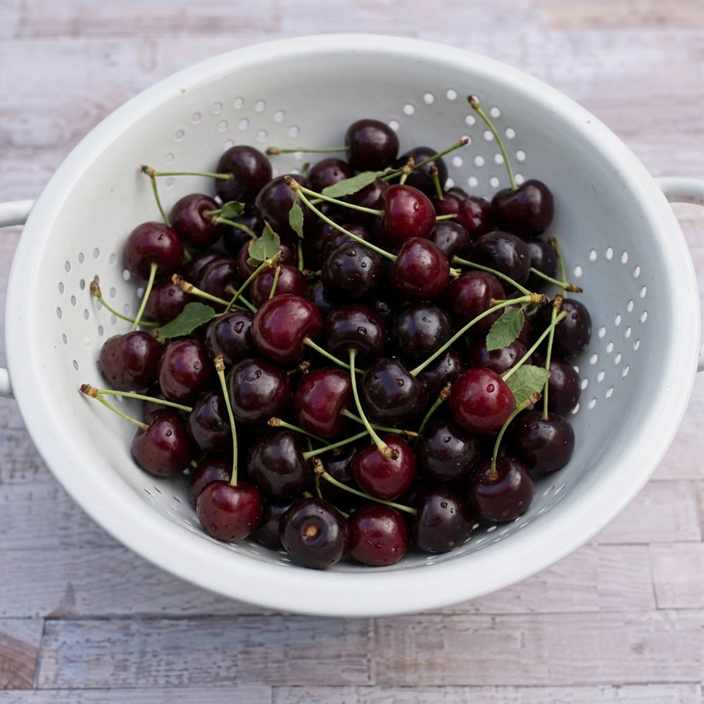 cherry 'Regina'