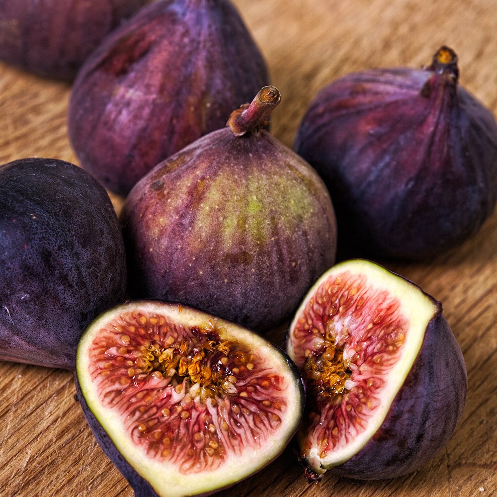 fig 'Dauphine'