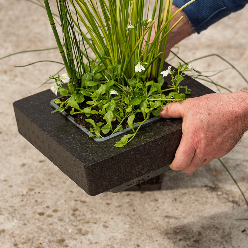 Floating island for shallow water plants