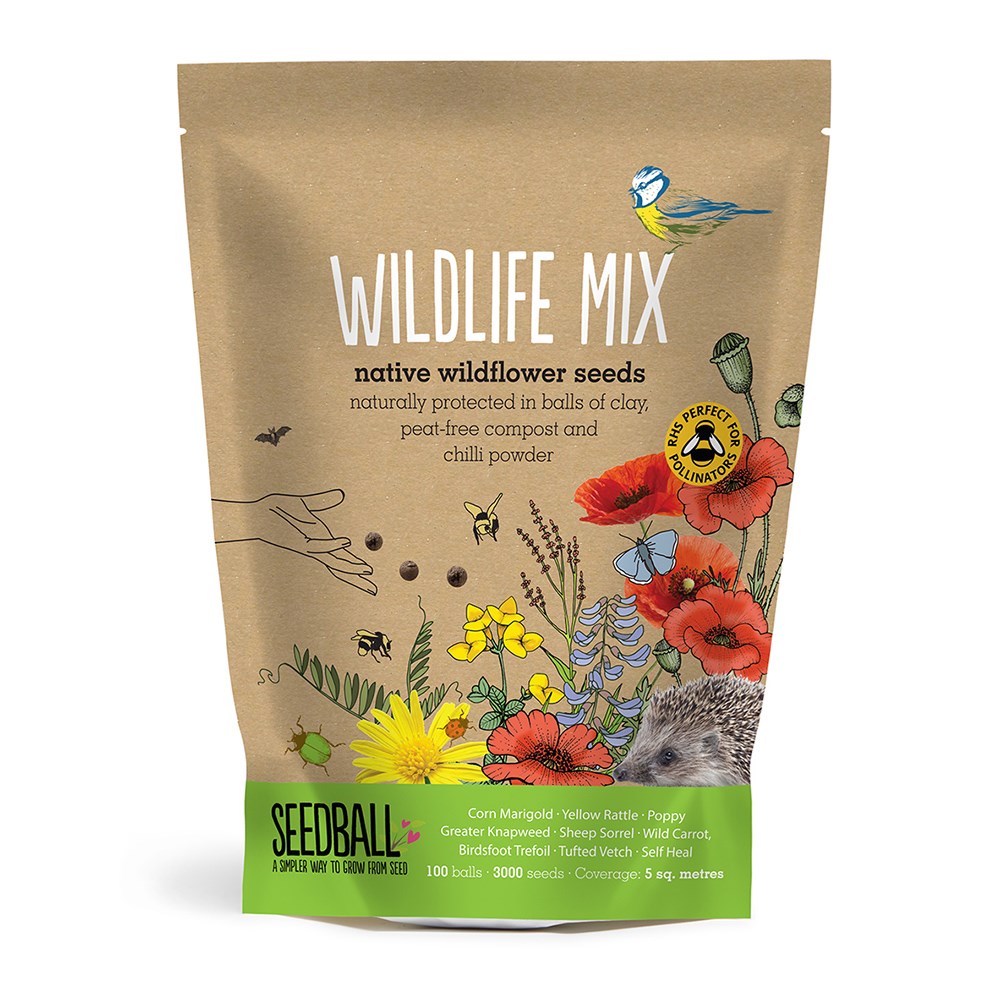 Seedballs native wildflowers for wildlife