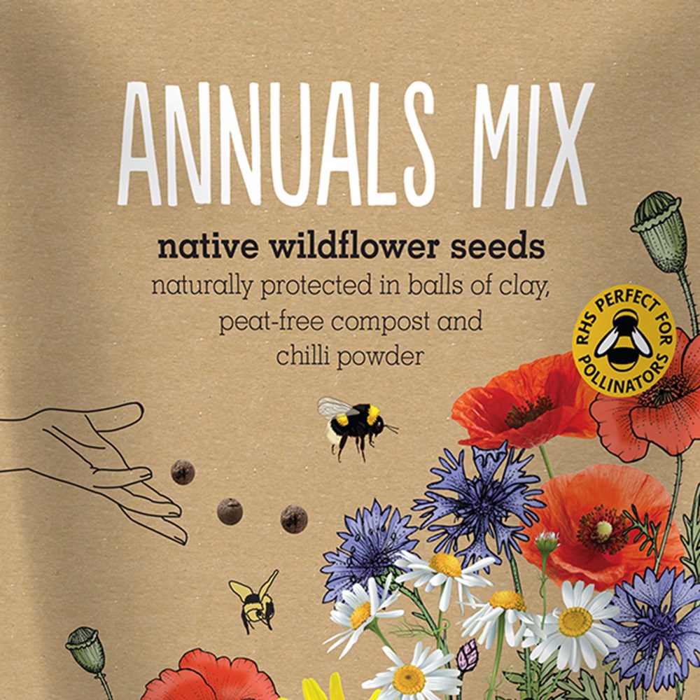 Seedballs native annual wildflowers