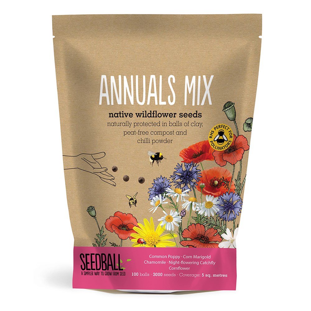 Seedballs native annual wildflowers