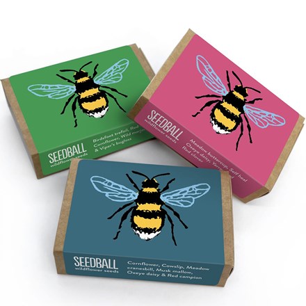 Seedballs bee matchboxes seedbombs