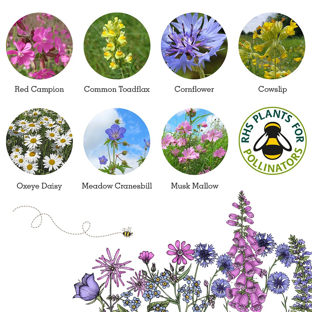 Seedballs bee matchboxes