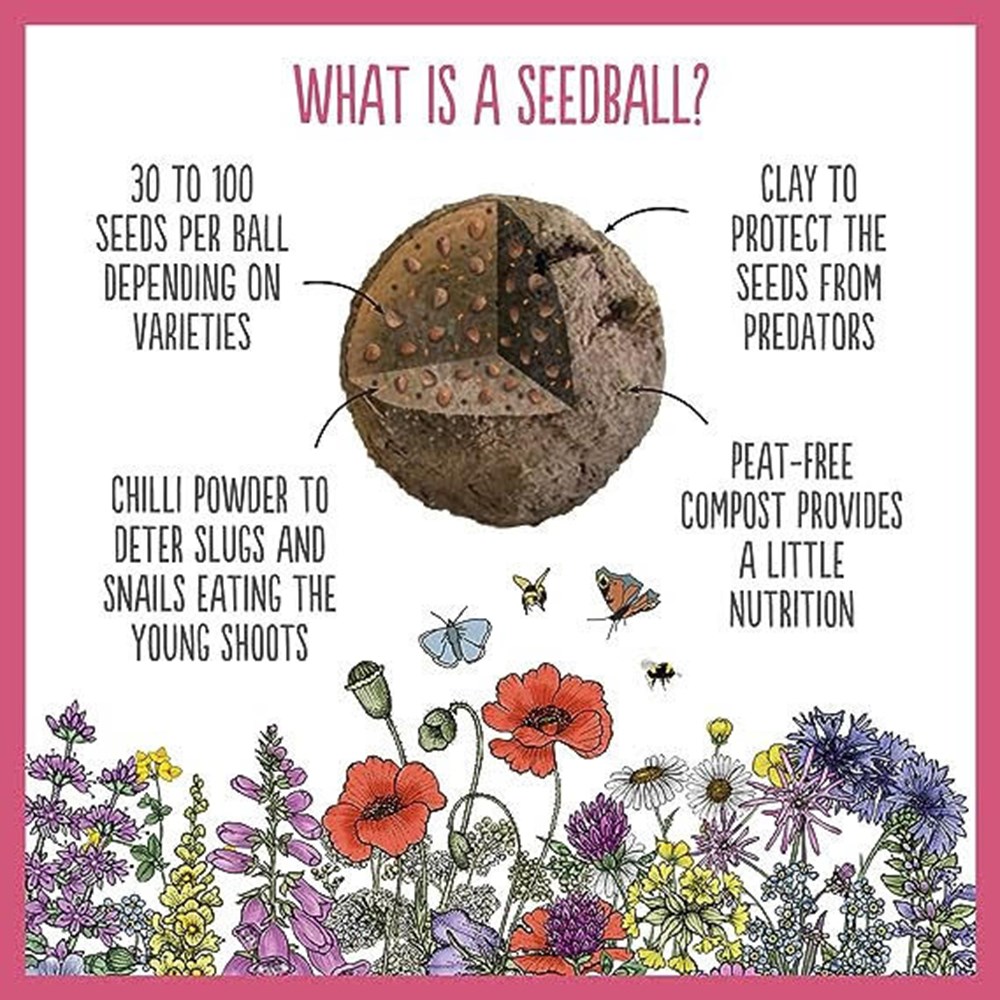 Seedballs bee matchboxes