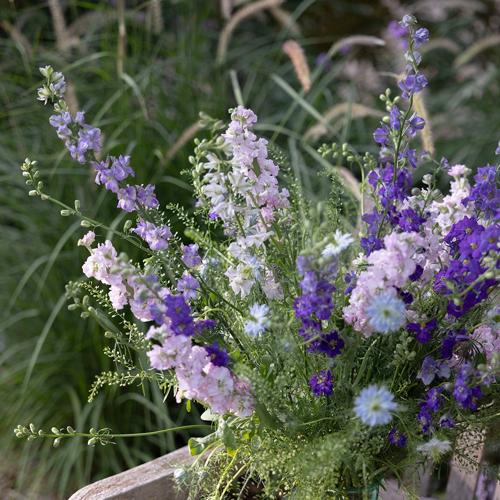 Cottage garden cutting garden collection