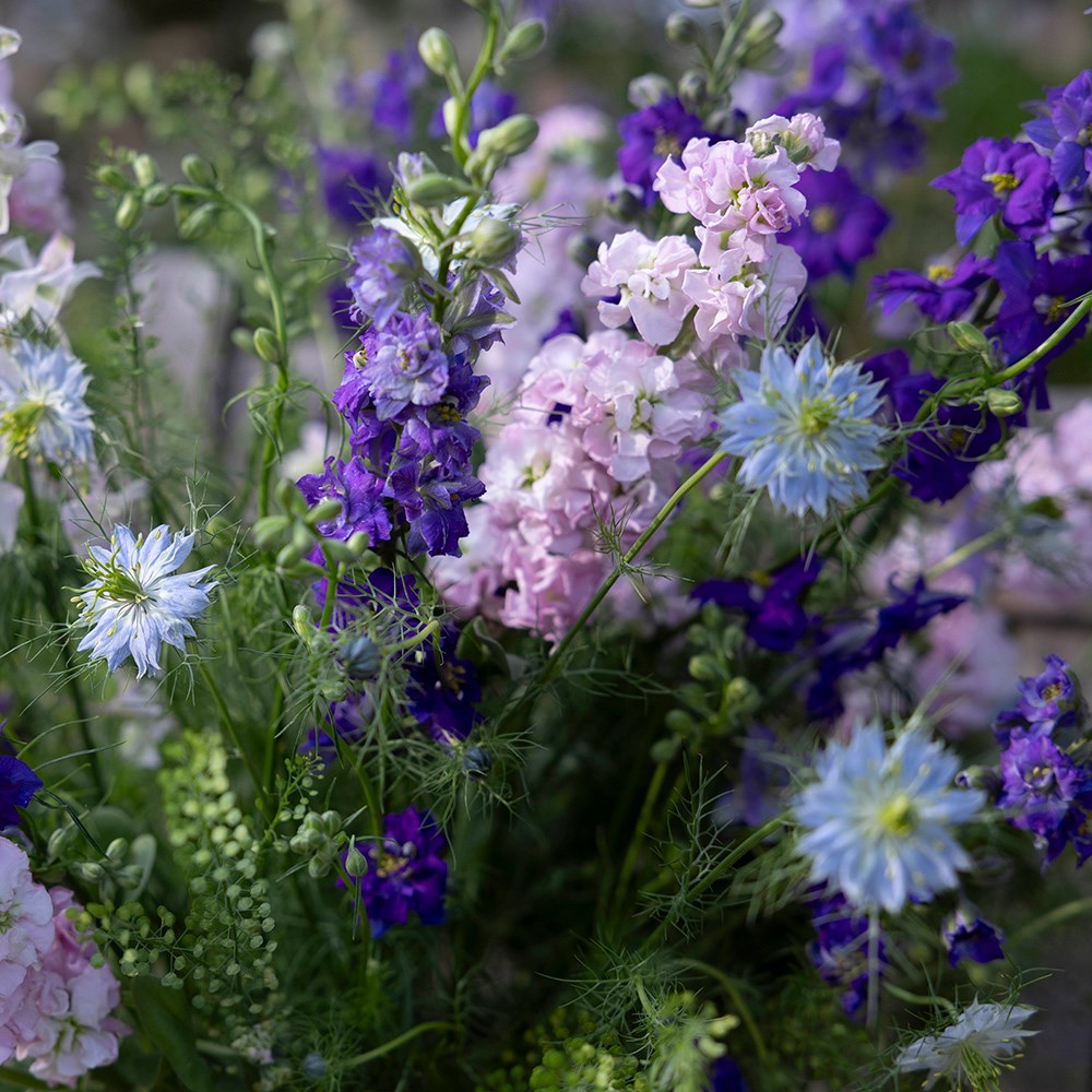 Cottage garden cutting garden collection