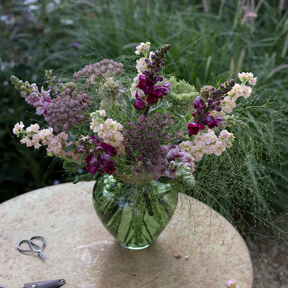 Summer nights cutting garden collection