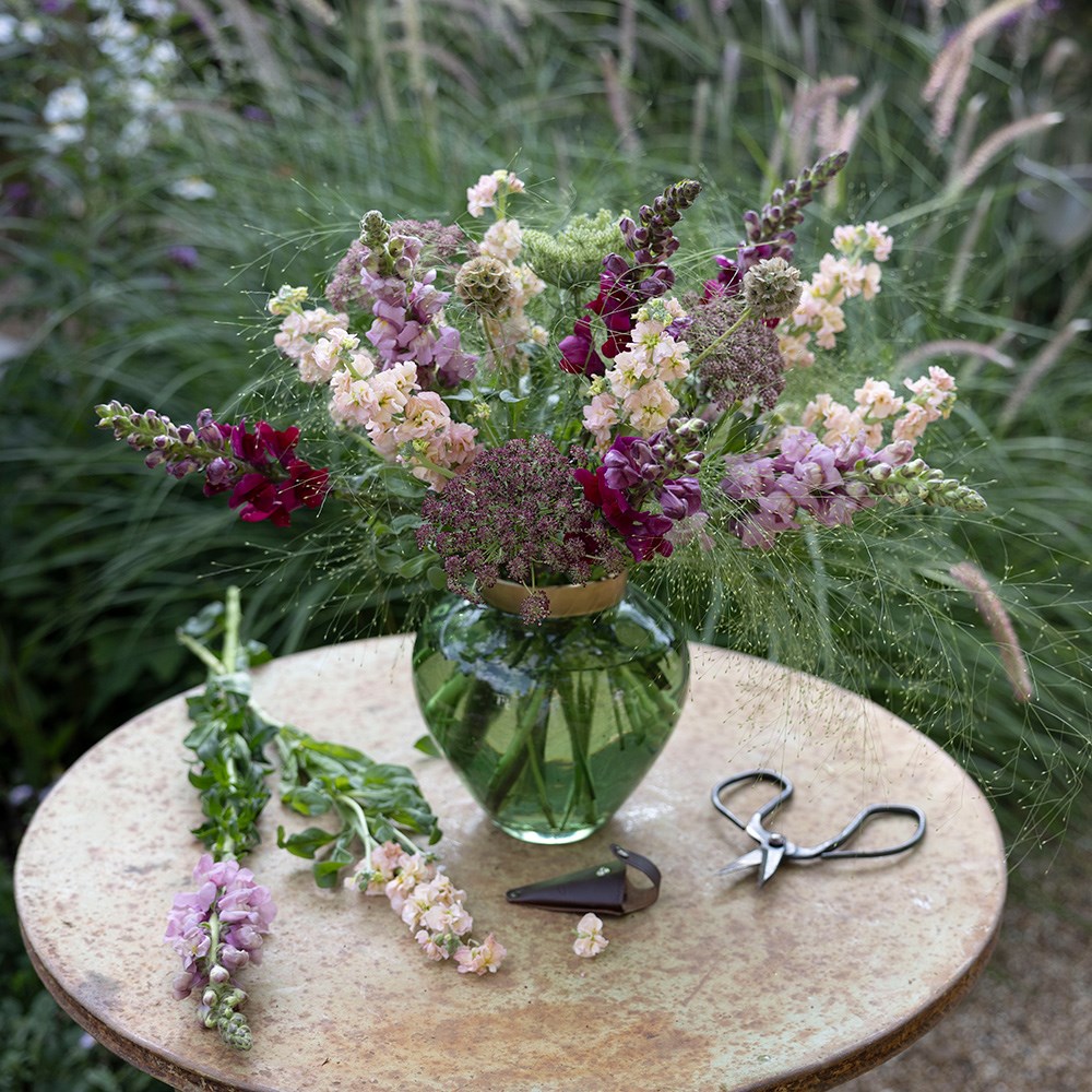 Summer nights cutting garden collection