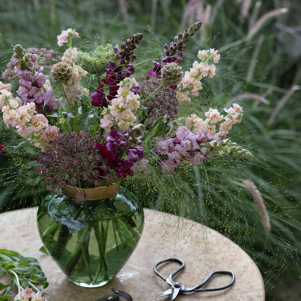 Summer nights cutting garden collection