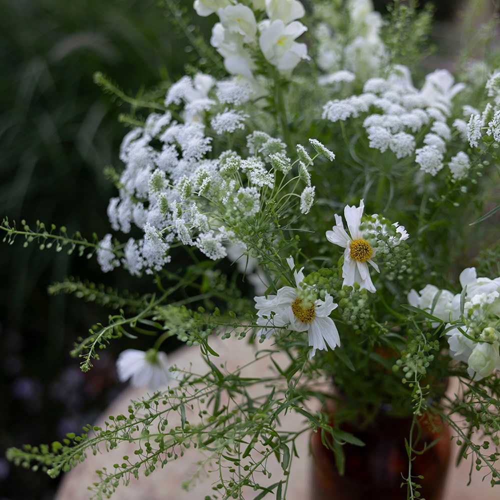 Elegant cutting garden collection