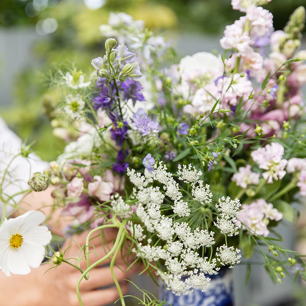 Pastels cutting garden collection
