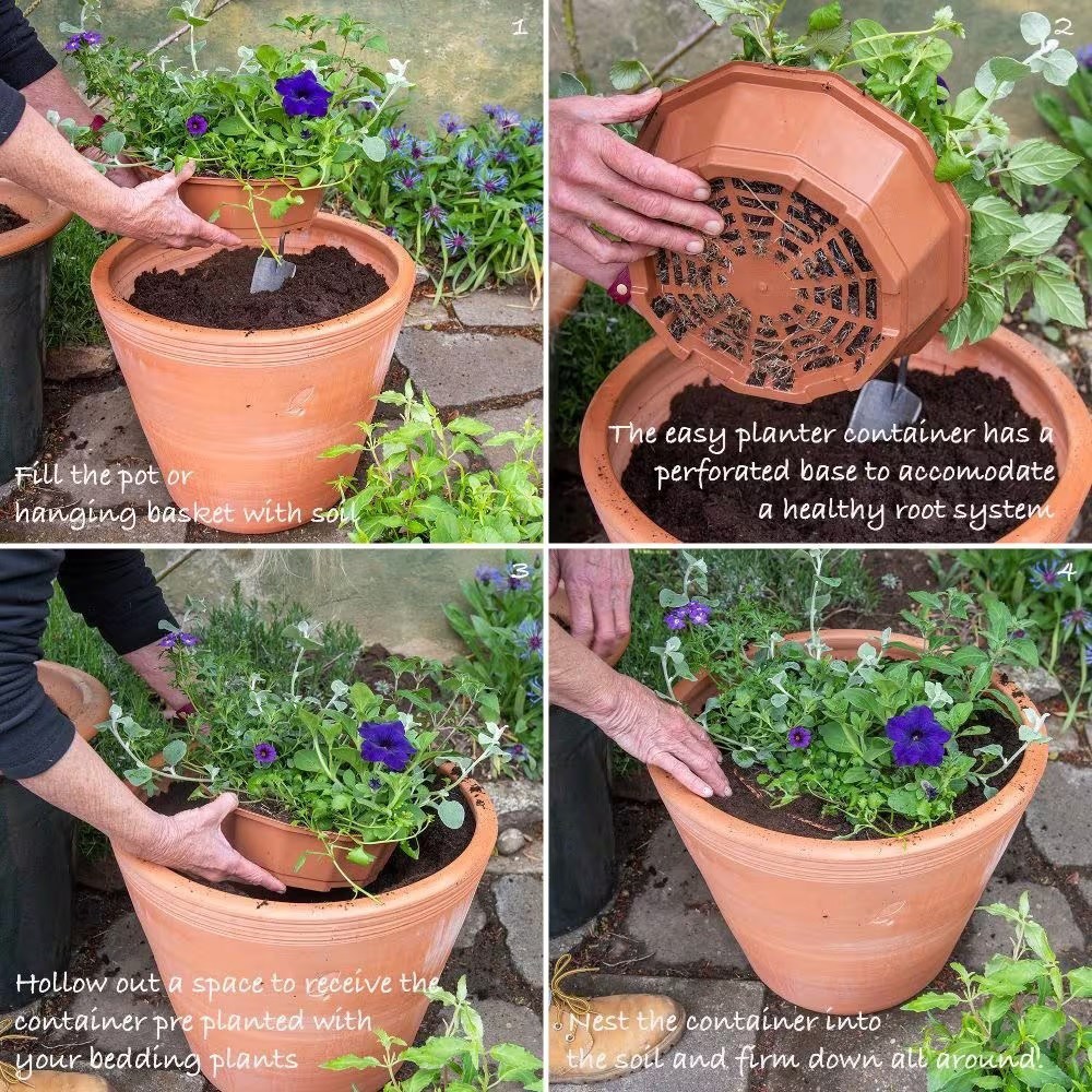 Berry swirl - Easyplanter for hanging baskets & patio pots