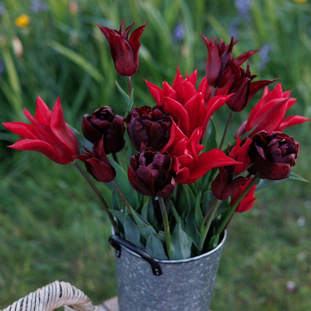 Lipstick & mascara tulip collection