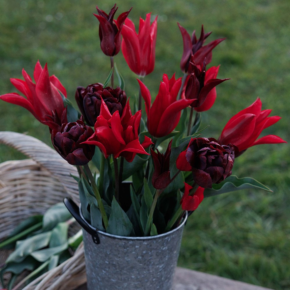 Lipstick & mascara tulip collection