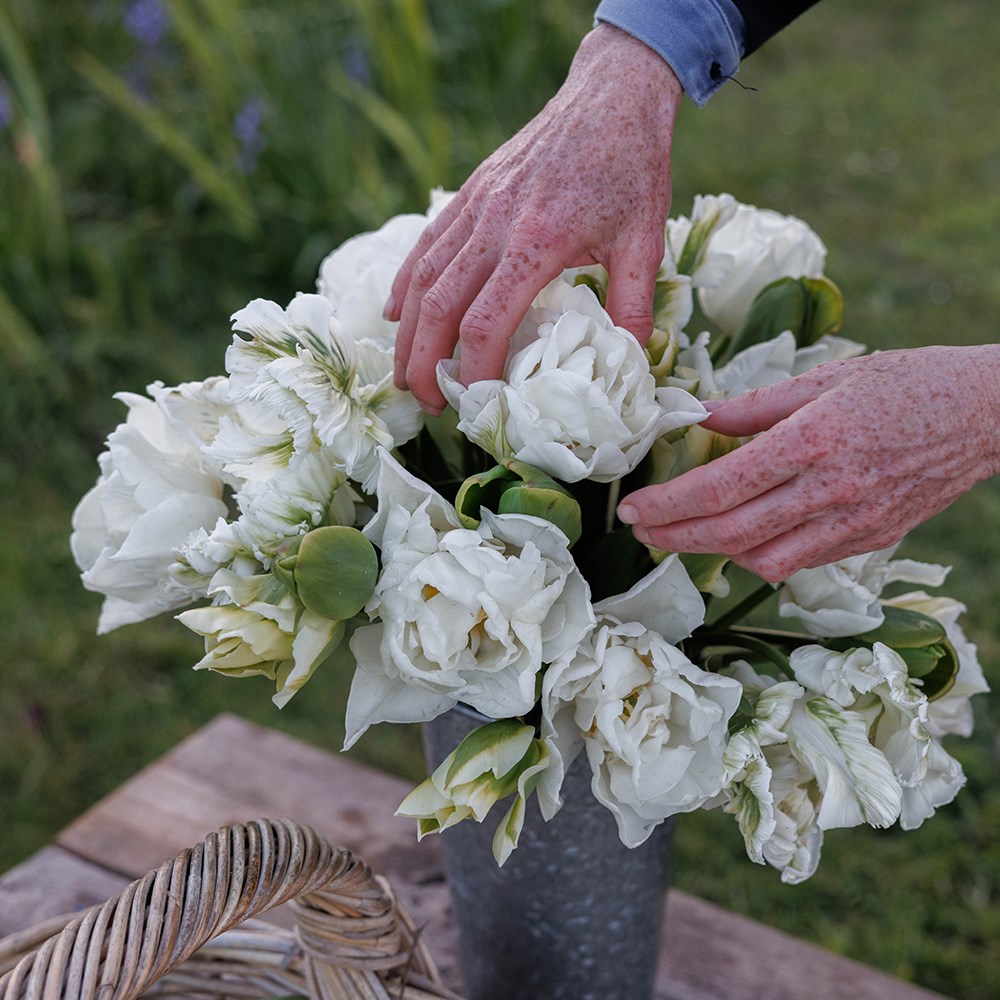 The ultimate white & green tulip collection
