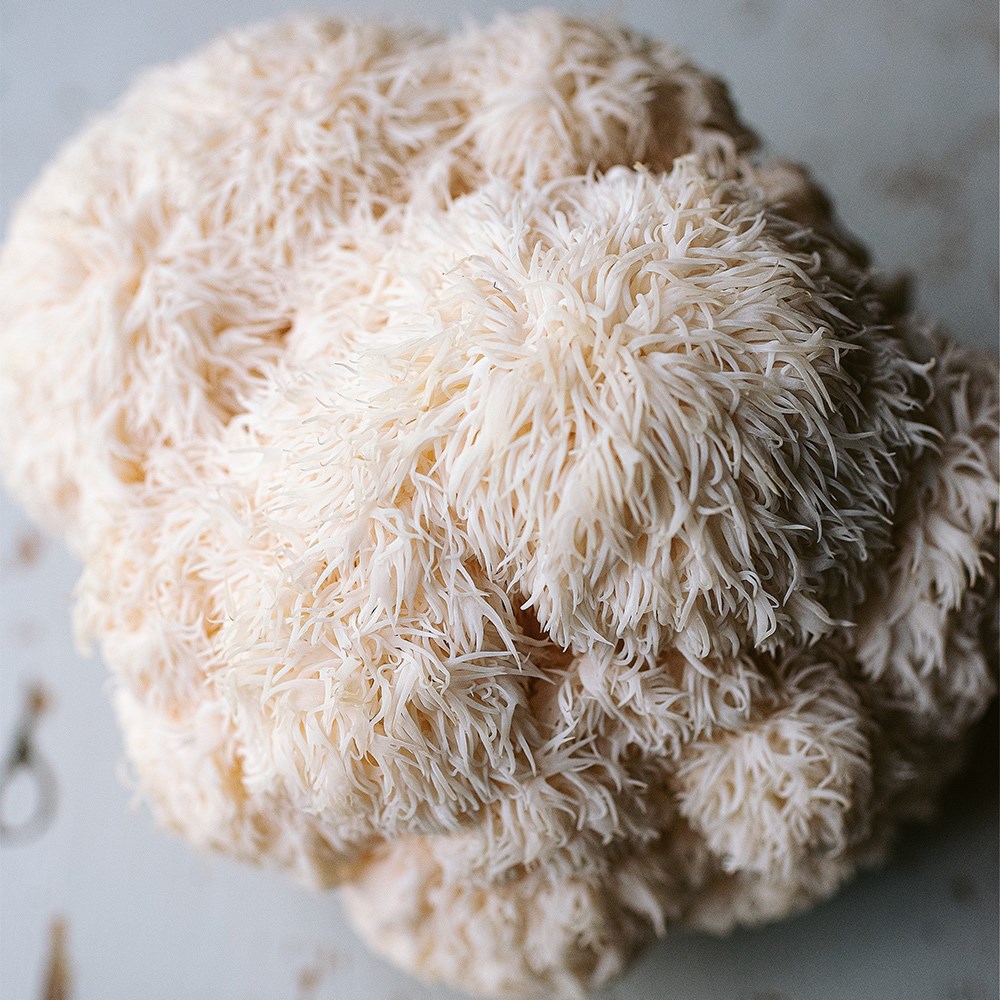 Lion's mane mushrooms