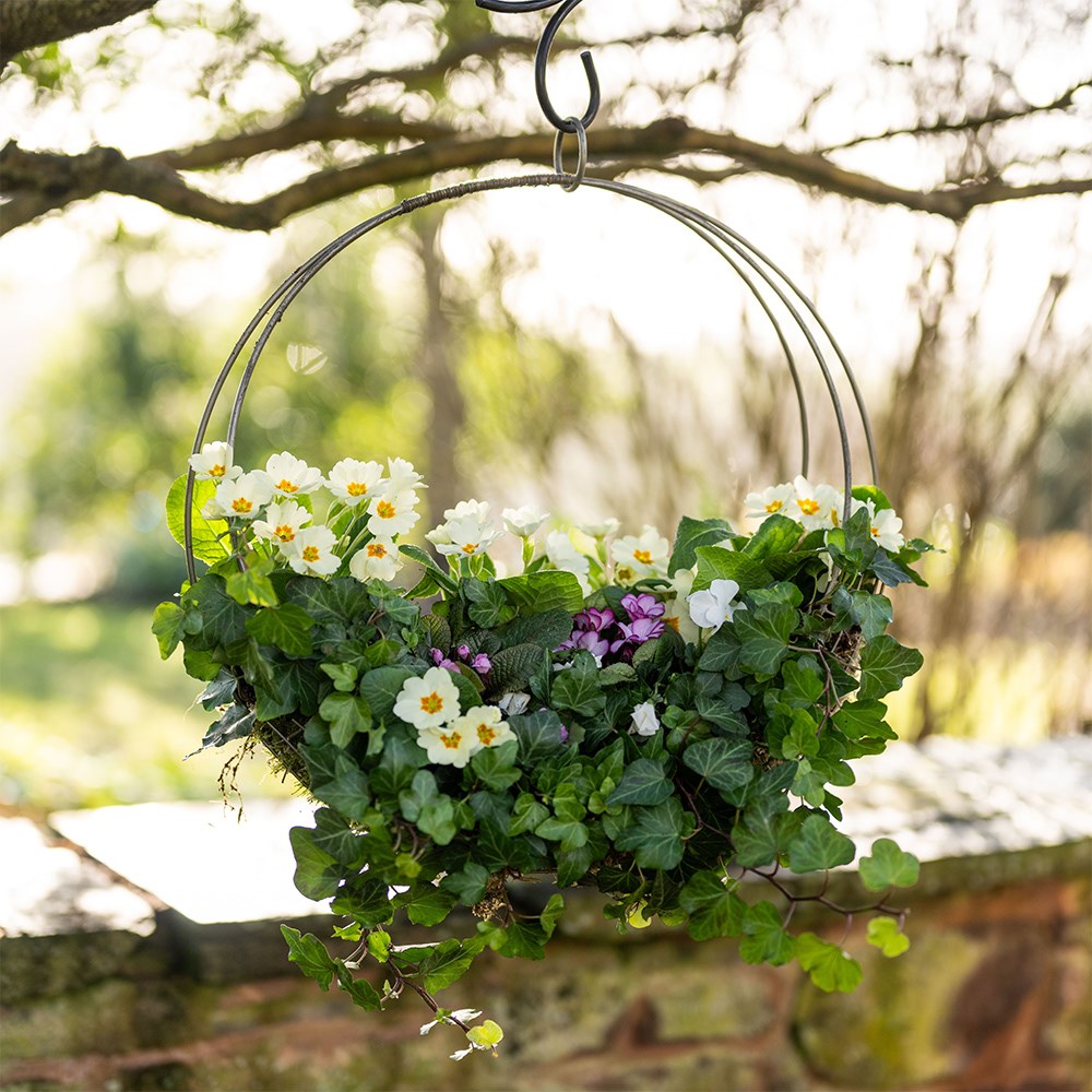 <i>Mothers day primula wreath kit</i> 