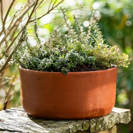 Terracotta herb bowl kit