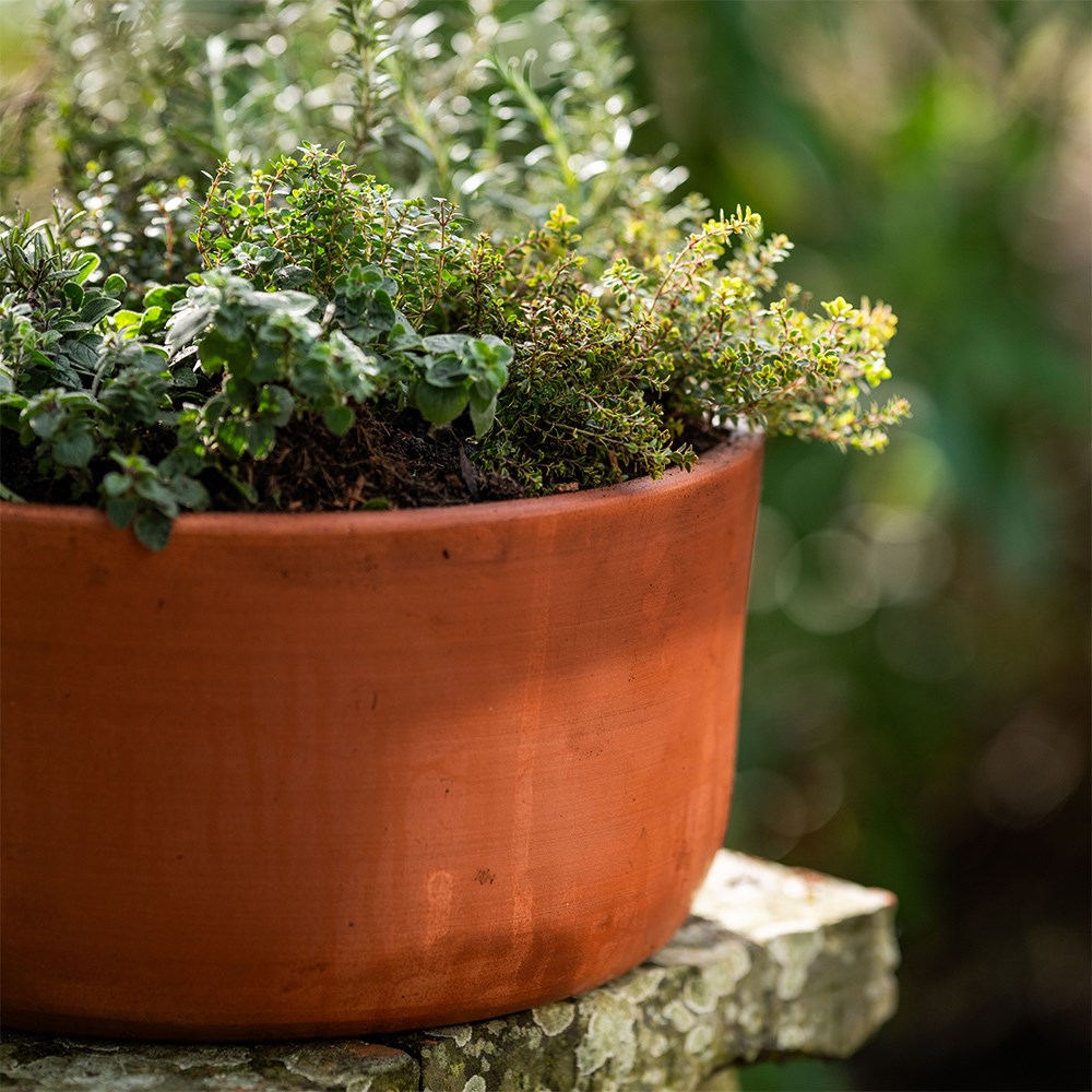 <i>Terracotta herb bowl kit </i> 