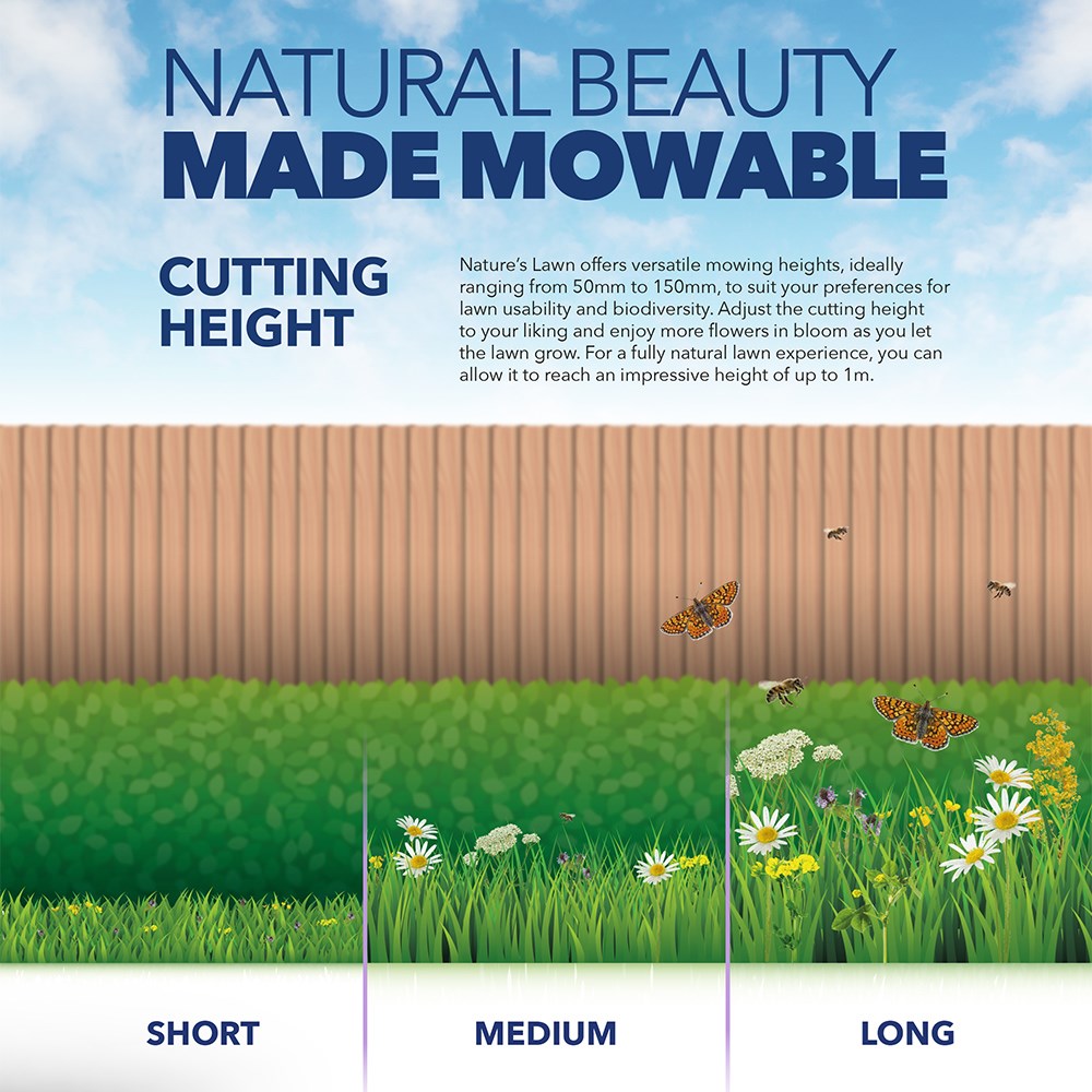 Johnsons mowable nature's lawn seed
