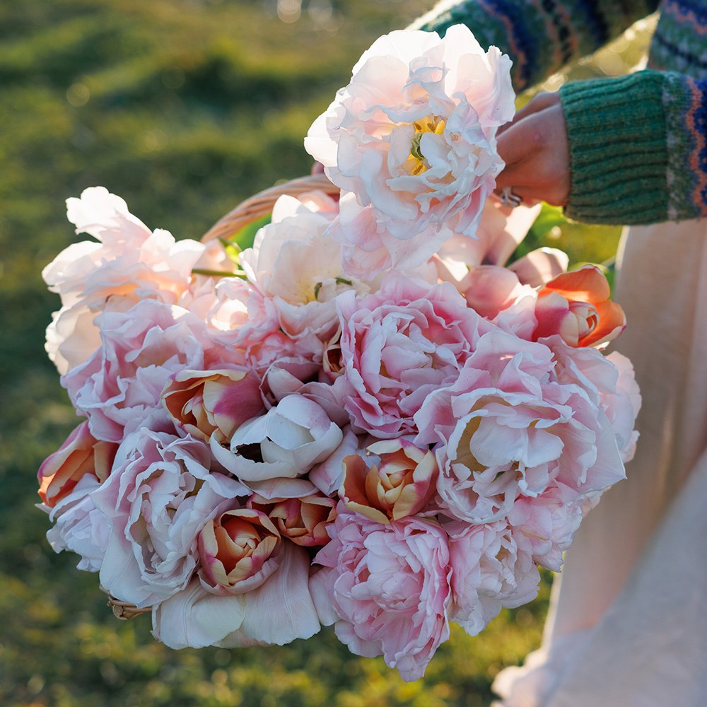 Leah's Vintage tulip collection