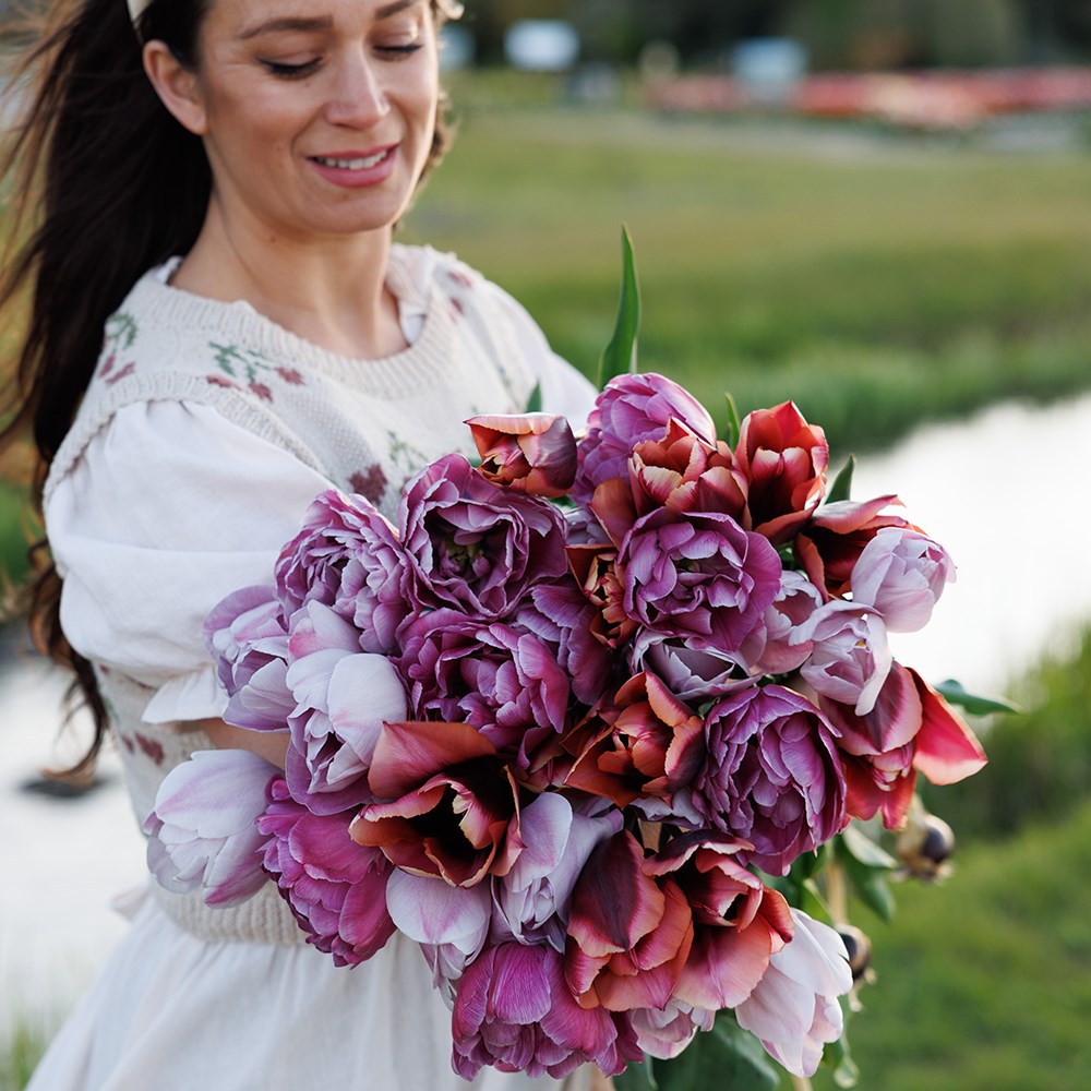 Leah's Secret garden tulip collection