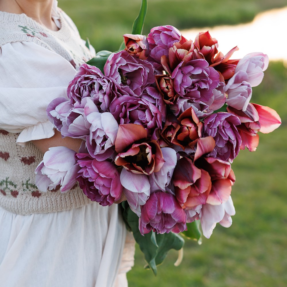 Leah's Secret garden tulip collection