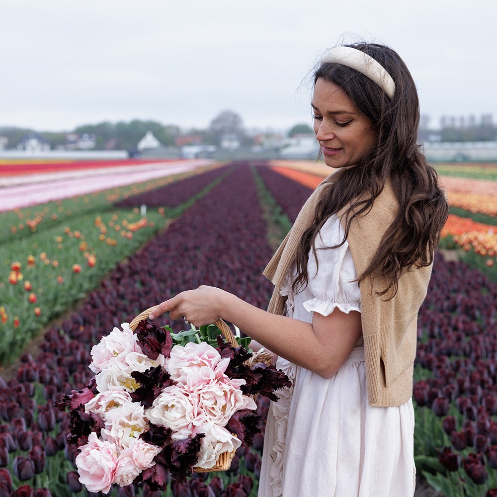 Leah's Swan lake tulip collection
