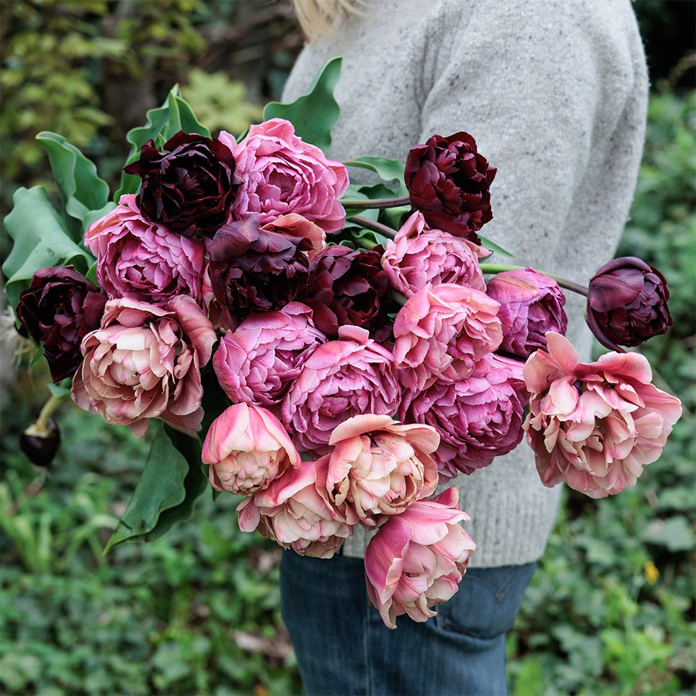 Vintage peony tulip collection