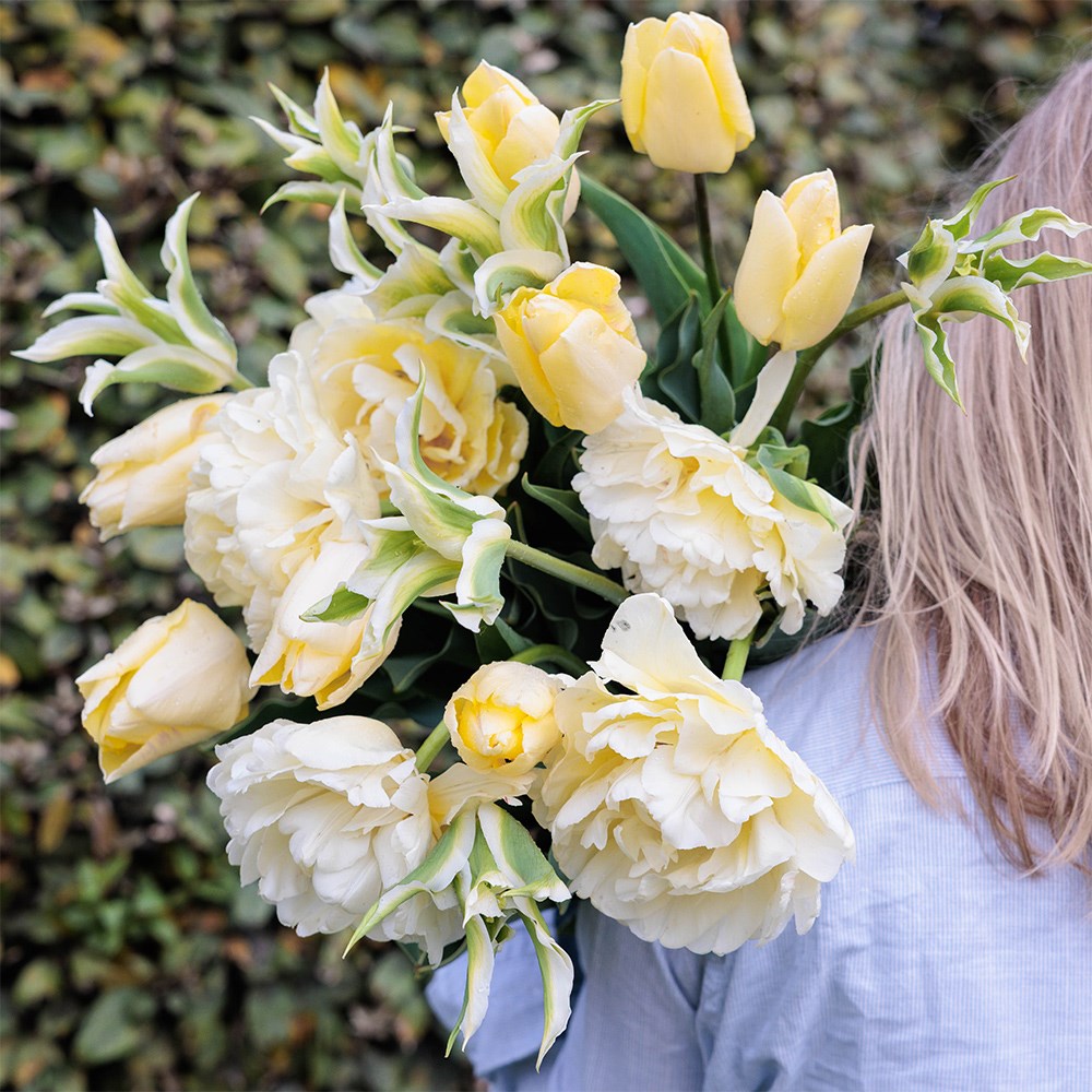 Crème fraîche tulip collection