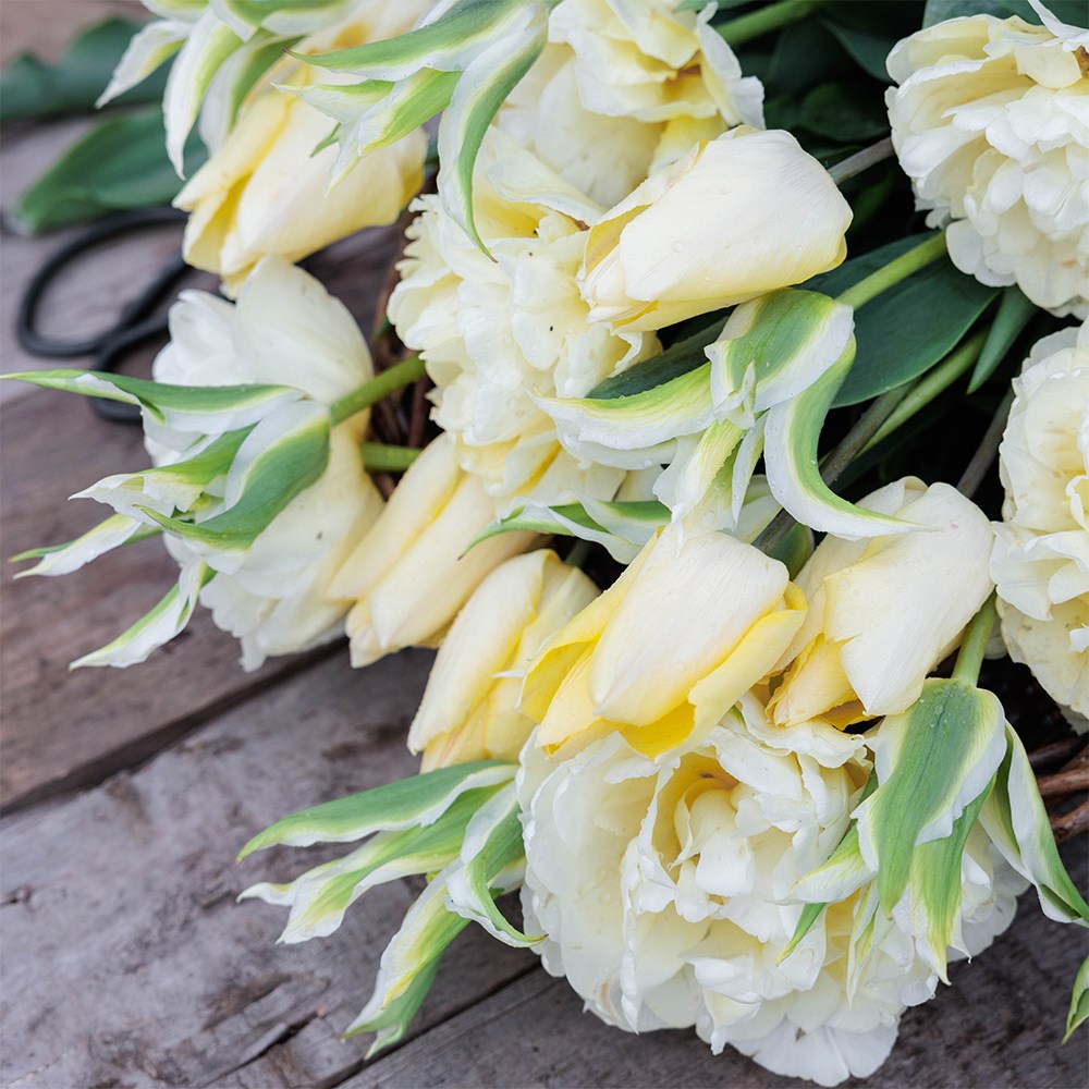 Crème fraîche tulip collection