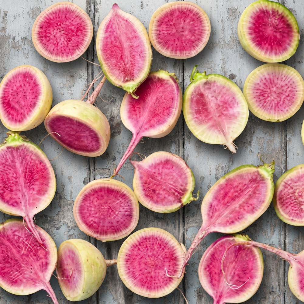 <i>radish</i> 'Red Meat'
