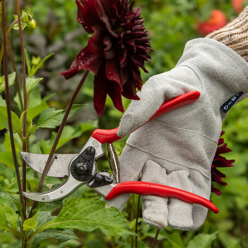 Felco original secateurs (model no 2)