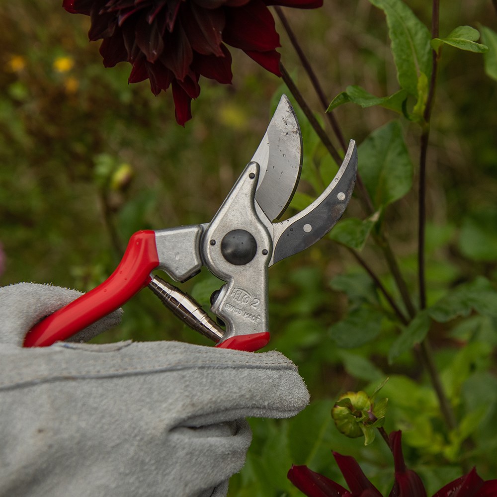 Felco original secateurs (model no 2)
