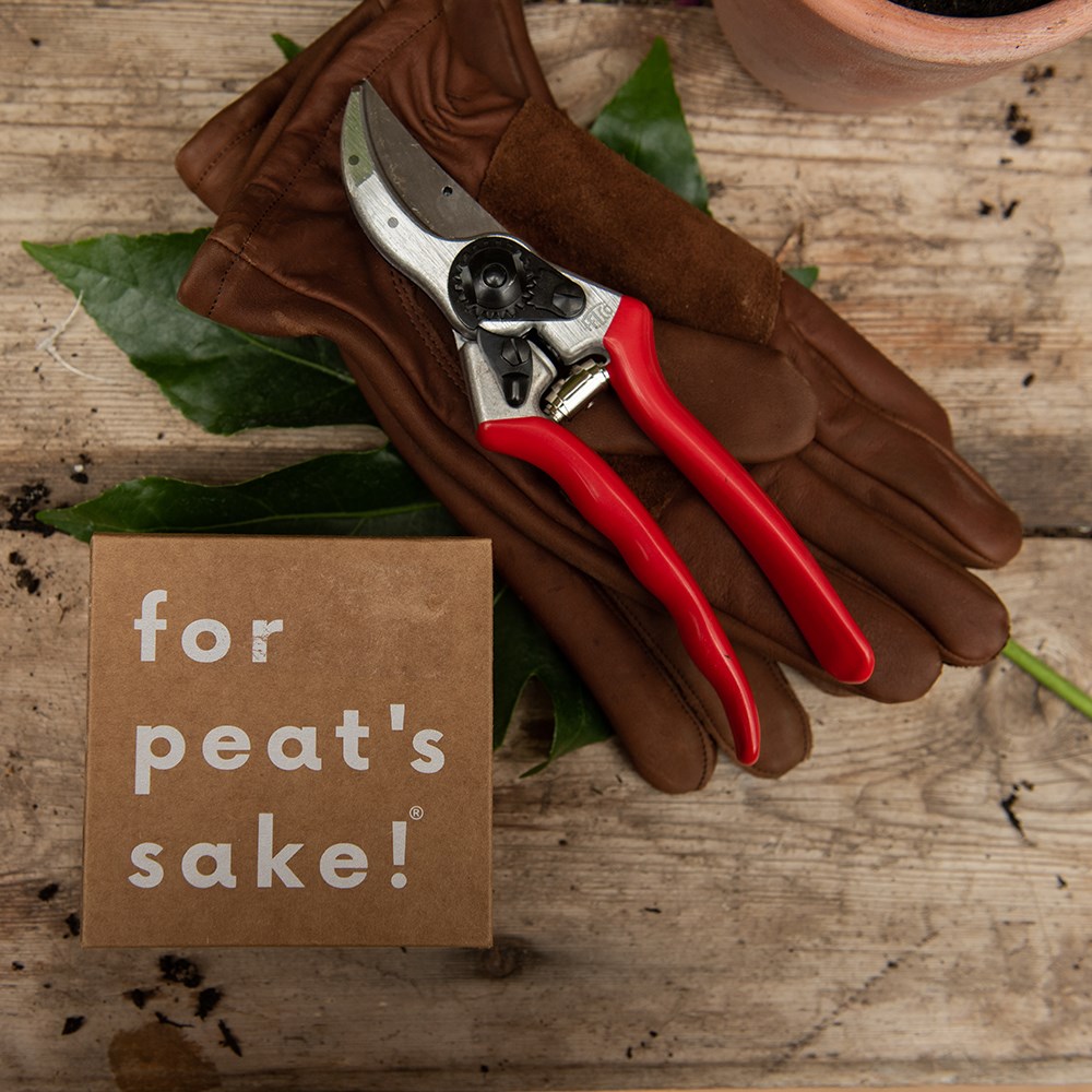Felco original secateurs (model no 2)