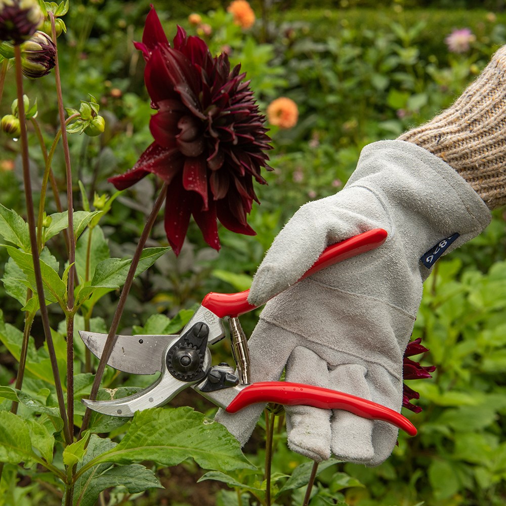 Felco original secateurs (model no 2)