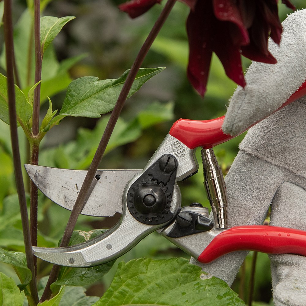 Felco original secateurs (model no 2)
