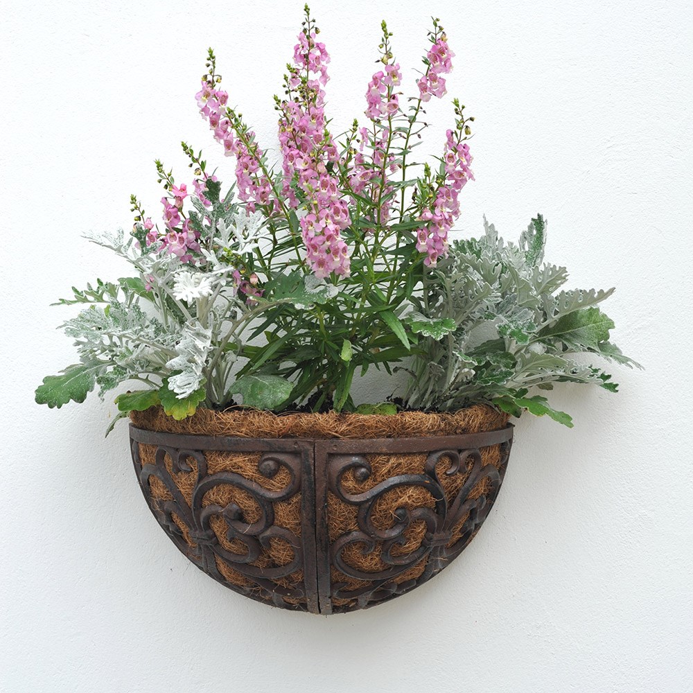Cast iron wall manger