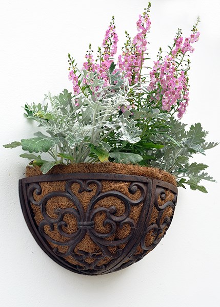 Cast iron wall manger