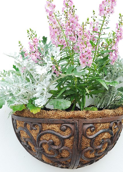 Cast iron wall manger