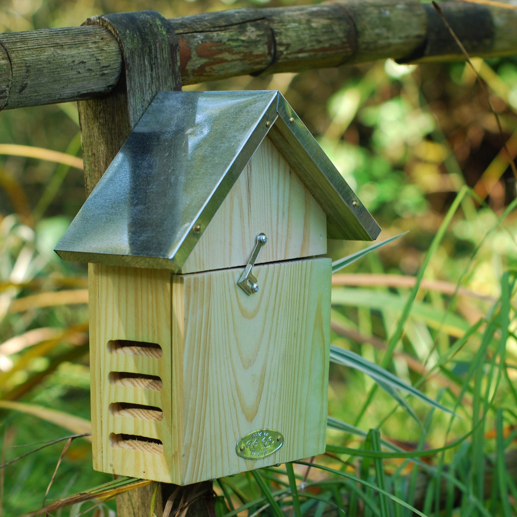 Ladybird hotel