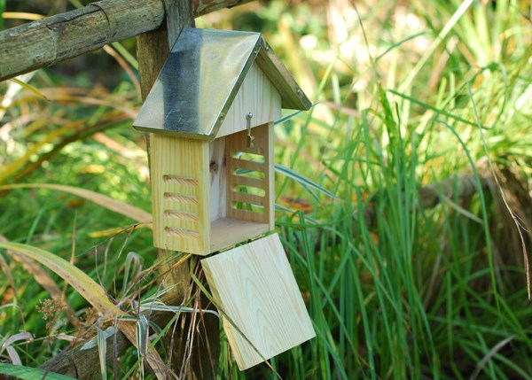 Ladybird hotel