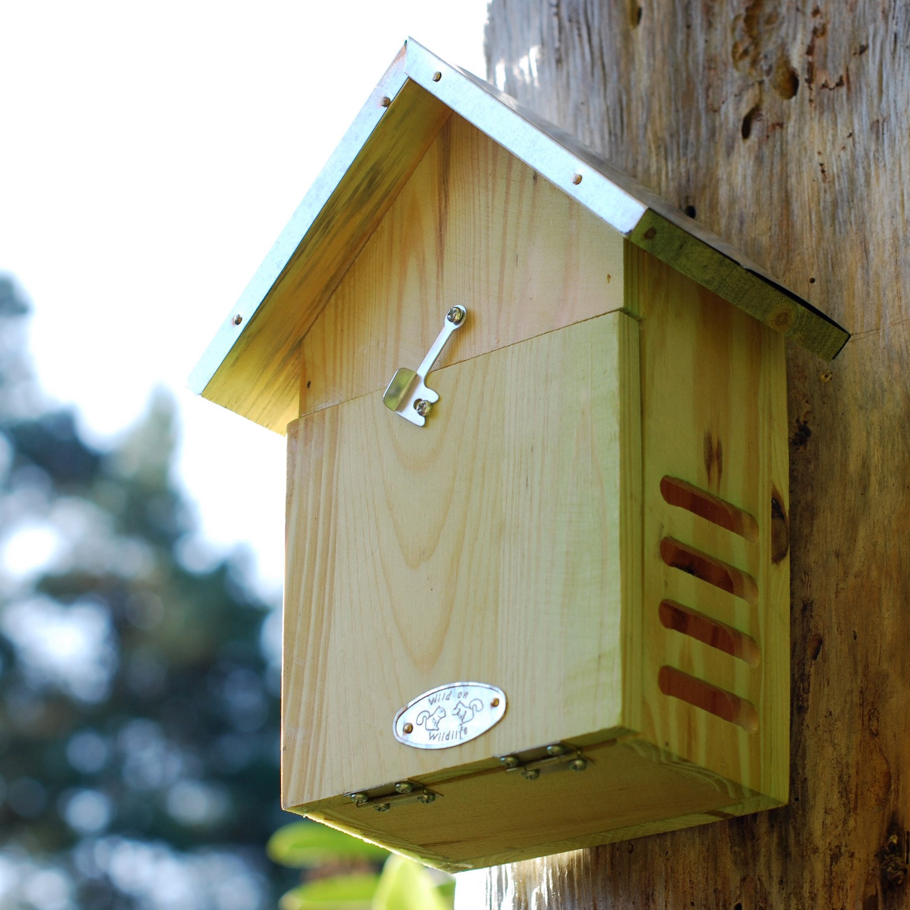 Ladybird hotel