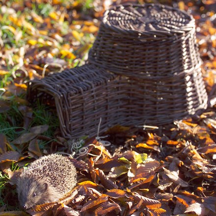 Wicker hedgehog house