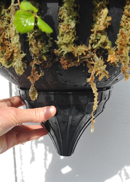 Pair of self-watering hanging baskets