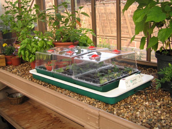 Electric propagator