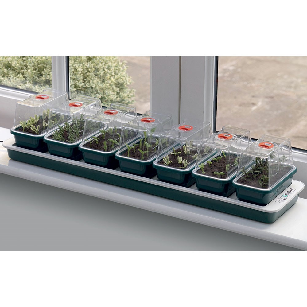 Super 7 windowsill electric propagator