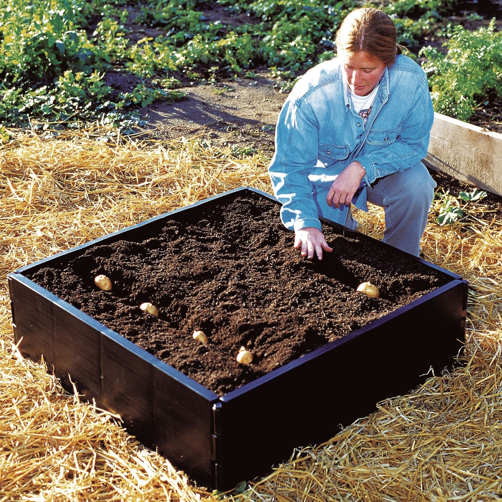 Raised bed
